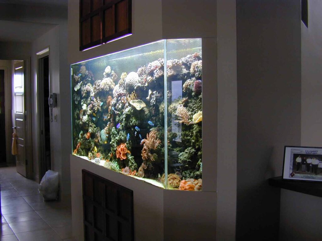 Picture of Supporting the aquarium - Aquarium Reference